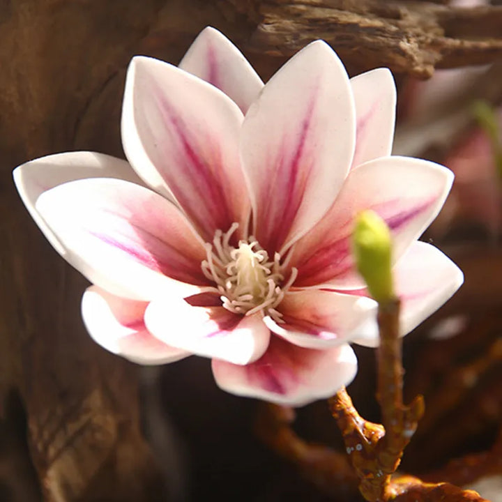 Stornfield | Artificial Magnolia Flowers