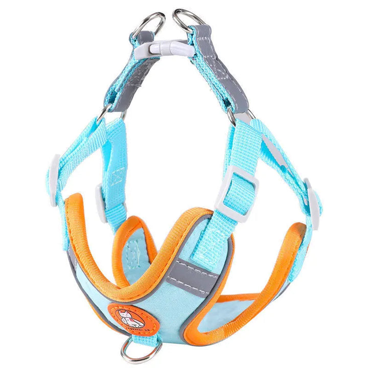 Breathable, adjustable & comfortable Stornfield dog harness