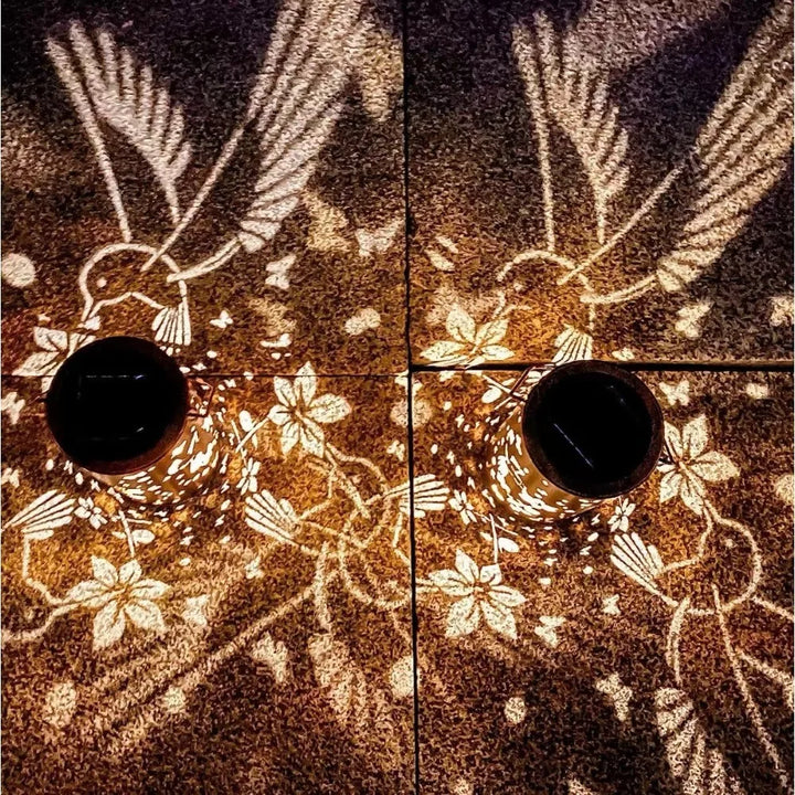 Lanterne Solaire Colibri Creuse Lumineuse
