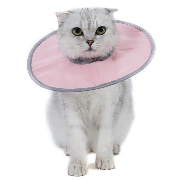 Stornfield soft & comfortable cat protection collar