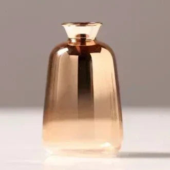 Gradient Vases Stornfield
