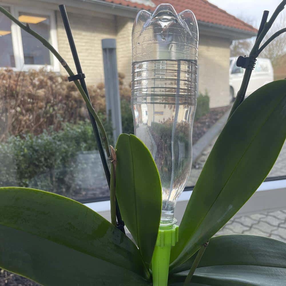 Self-watering for potted plants / beds - Pack of 6 pcs. | Stornfield
