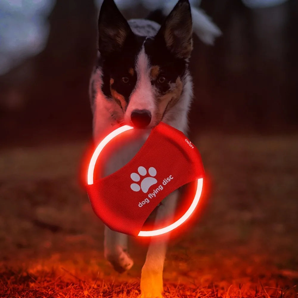 LED Frisbee for dogs, rechargeable and waterproof, Stornfield