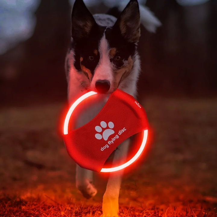 LED Frisbee for dogs, rechargeable and waterproof, Stornfield