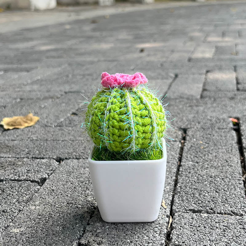 Cactus Plant (Hand-Knitted)