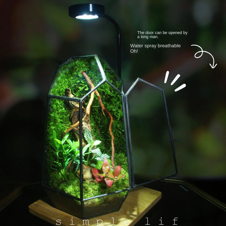 Modern Geometric Nature-Inspired Botanical Terrarium | Stornfield