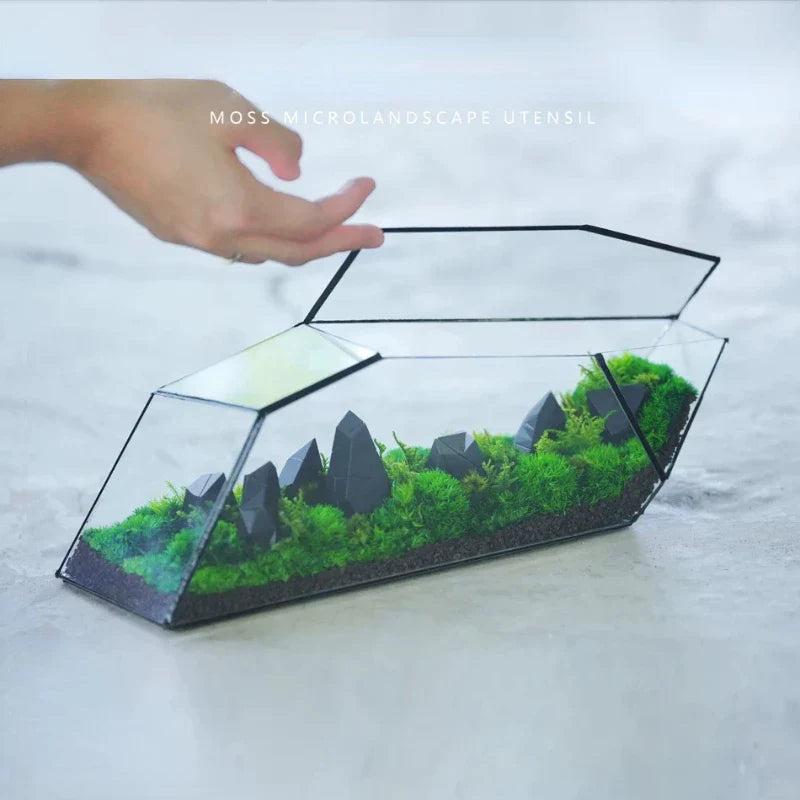 Geometric Glass Moss Planter Terrarium Vase | Stornfield