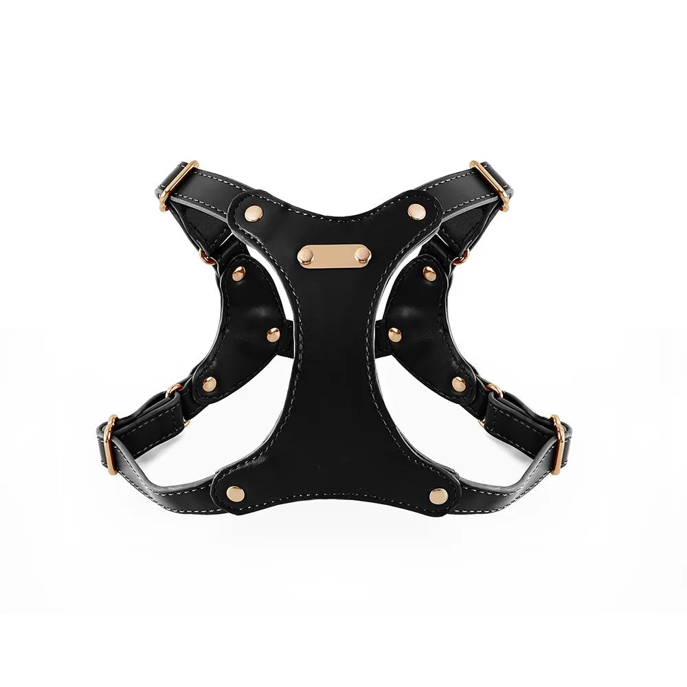 Adjustable Leather Dog Harness with Custom Engraving Stornfield