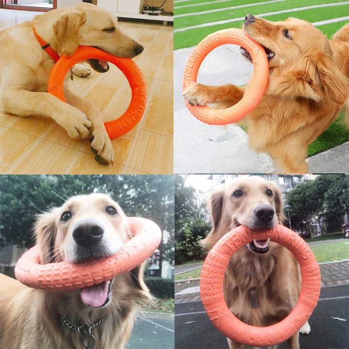Floating EVA Training Ring for Dogs Stornfield
