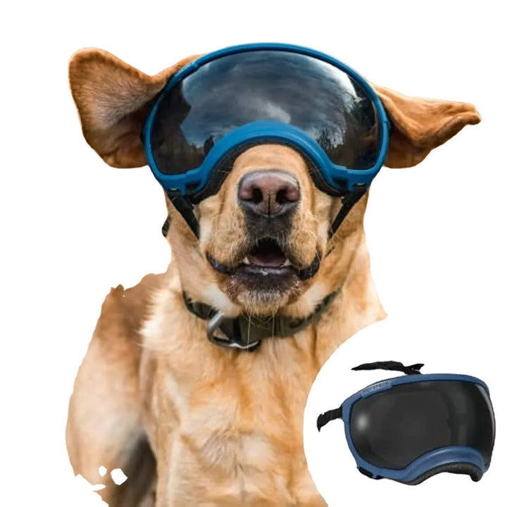 Stornfield adjustable windproof dog sunglasses with UV protection