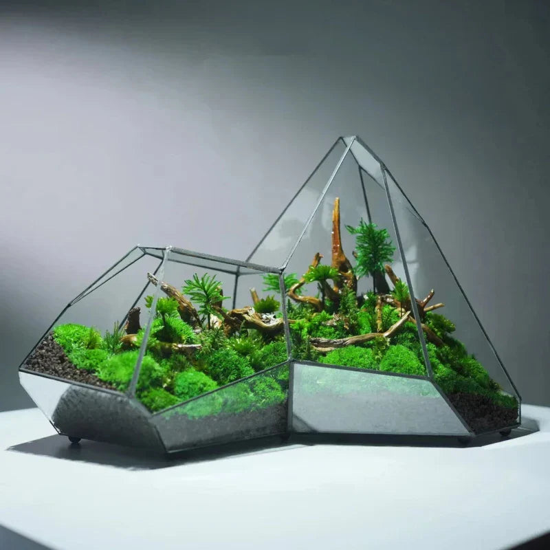 Geometric Glass Moss Planter Terrarium Vase | Stornfield