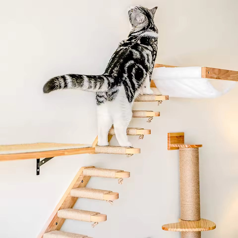 Cat climbing ladder for wall mounting, made of wood with sisal, Stornfield
