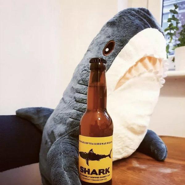 Shark Plush Toy | Stornfield