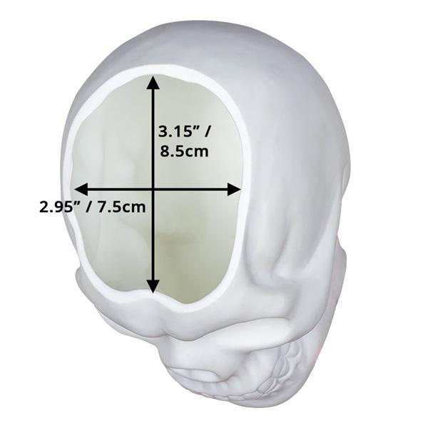 Skull Holder Plant Pot | Stornfield