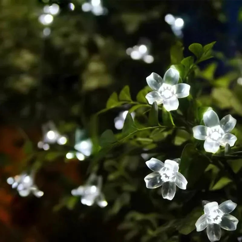Solar-powered flower garden lights for enchanting outdoor atmosphere | Stornfield