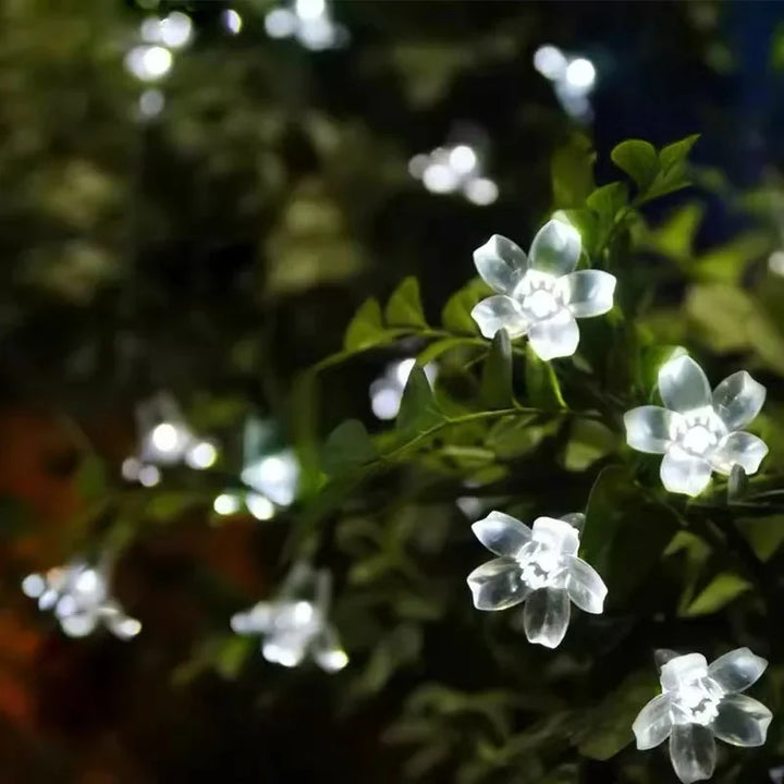 Solar-powered flower garden lights for enchanting outdoor atmosphere | Stornfield