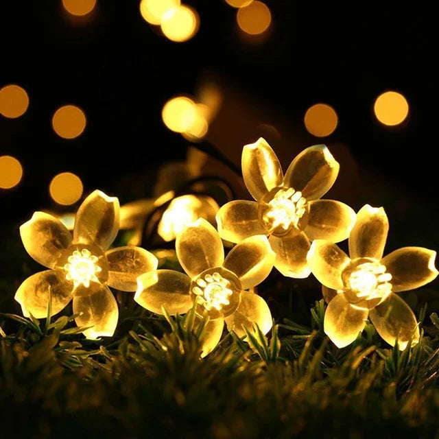 Stornfield | Lumières de fée Pêche Fleur