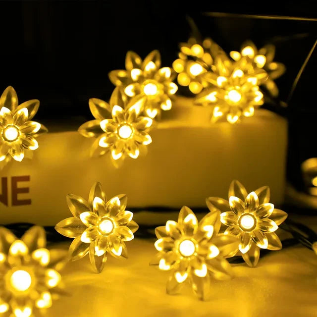 Stornfield | Lumières de fée Pêche Fleur