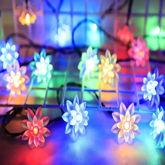 Stornfield | Lumières de fée Pêche Fleur