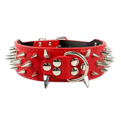 Stornfield Studded Dog Collar for Large Dogs