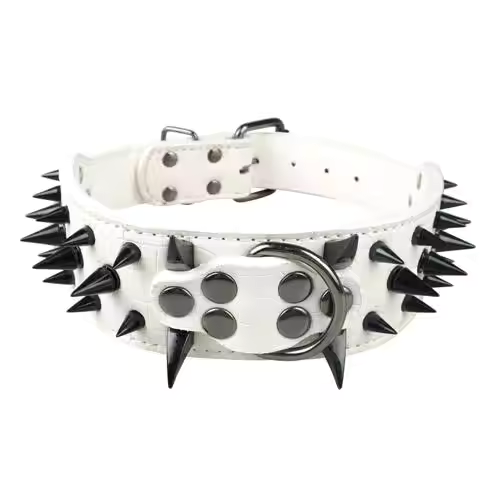 Stornfield Studded Dog Collar for Large Dogs