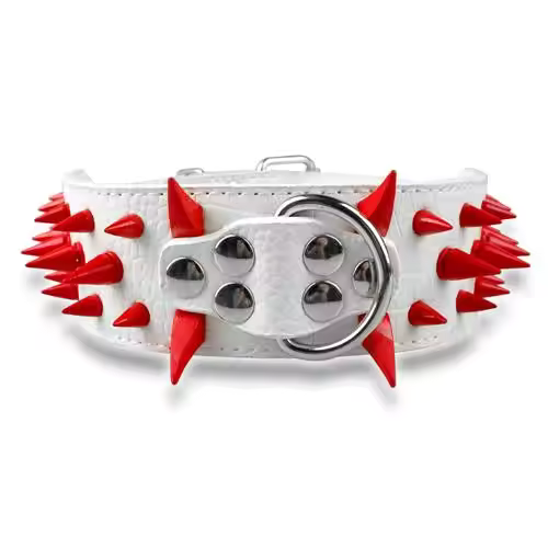 Stornfield Studded Dog Collar for Large Dogs