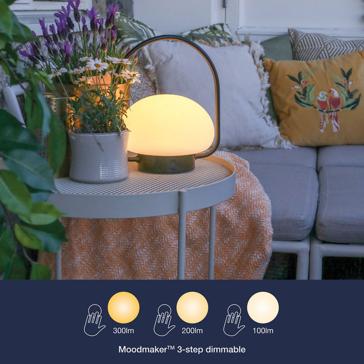 Orinthia Wireless TaStornfielde Lamp | Stornfield