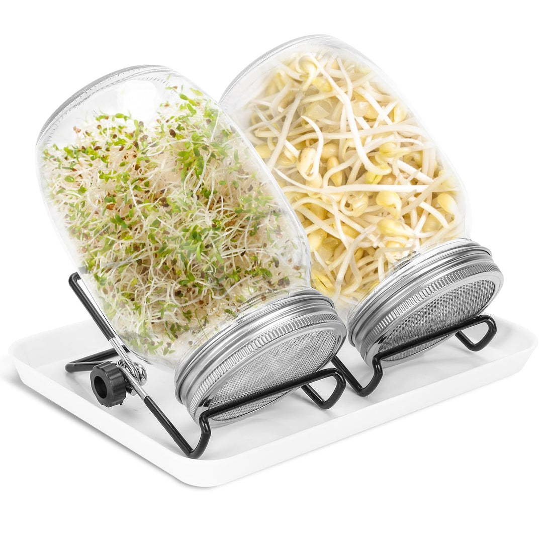 Sprouting glass germination glass 2pcs with lid & sieve 950ML | Stornfield
