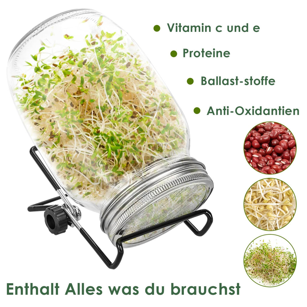 Sprouting glass germination glass 2pcs with lid & sieve 950ML | Stornfield