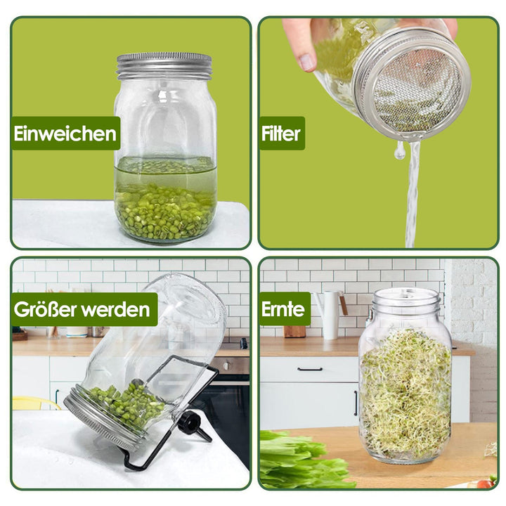 Sprouting glass germination glass 2pcs with lid & sieve 950ML | Stornfield