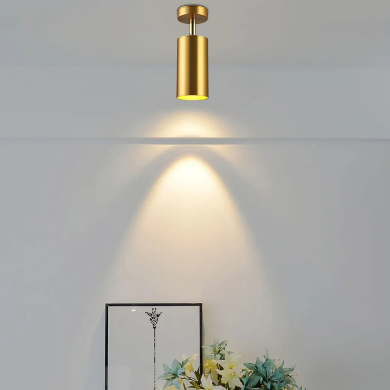 Modern swiveling LED ceiling light in gold – Adjustable lighting for living and working areas | Stornfield
