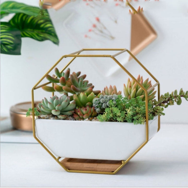 Stornfield | Simple Geometric Octagonal Succulent Tabletop Wall Mount Bamboo Holder Iron Frame Flower Pot (Gold)