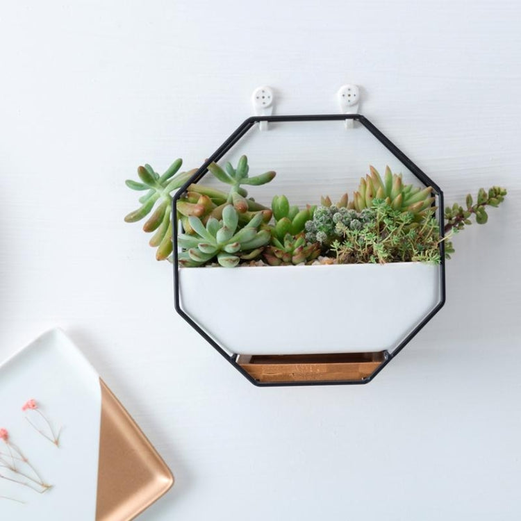 Stornfield | Simple Geometric Octagonal Succulent Tabletop Wall Mount Bamboo Holder Iron Frame Flower Pot (Gold)