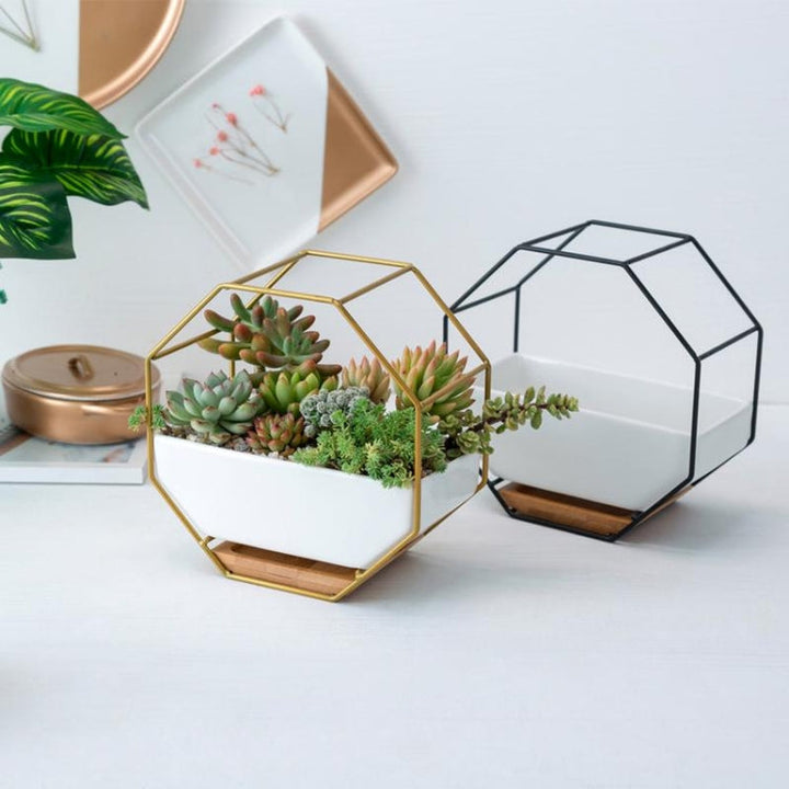 Stornfield | Simple Geometric Octagonal Succulent Tabletop Wall Mount Bamboo Holder Iron Frame Flower Pot (Gold)