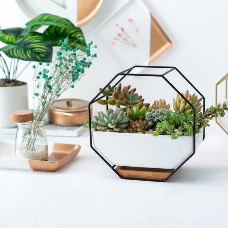 Stornfield | Simple Geometric Octagonal Succulent Tabletop Wall Mount Bamboo Holder Iron Frame Flower Pot (Gold)
