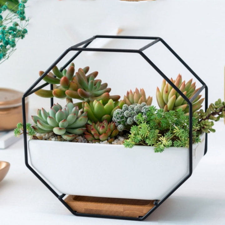 Stornfield | Plateau de plante succulente mural géométrique octogonal simple avec support en bambou, cadre en fer pour pot de fleurs (noir)