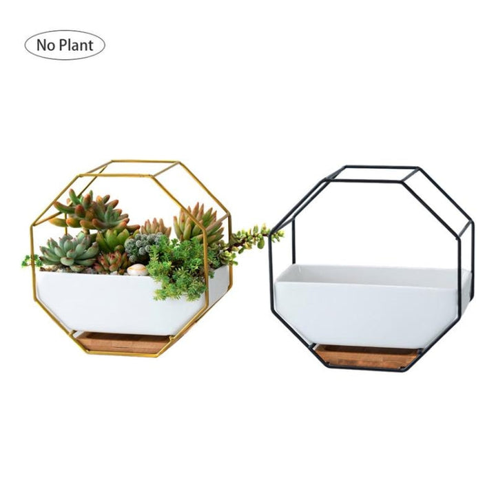 Stornfield | Plateau de plante succulente mural géométrique octogonal simple avec support en bambou, cadre en fer pour pot de fleurs (noir)
