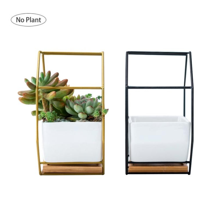 Stornfield | Plateau de plante succulente mural géométrique octogonal simple avec support en bambou, cadre en fer pour pot de fleurs (noir)