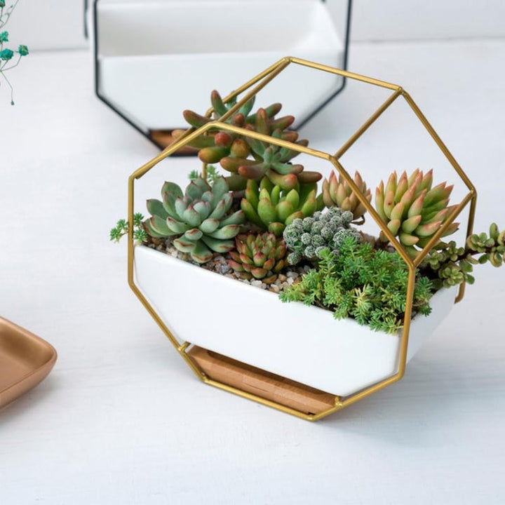 Stornfield | Plateau de plante succulente mural géométrique octogonal simple avec support en bambou, cadre en fer pour pot de fleurs (noir)