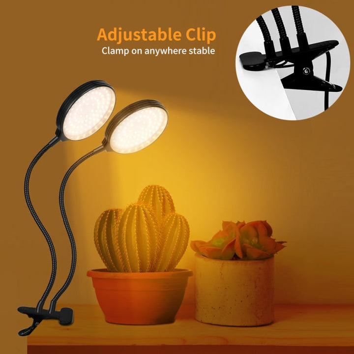 Stornfield | Lampes de croissance pour plantes LED télécommandées par USB clip étanches plein spectre lumière naturelle pour semis, puissance : 60W quatre têtes