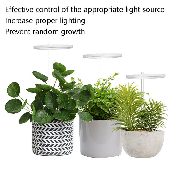 Stornfield | Full Spectrum LED Plant Grow Light with Smart Timer, Indoor Fill Light Ring Plant Lamp, Power: Single head (sunlight)