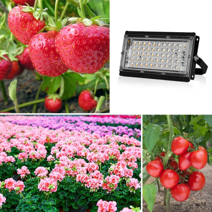 Stornfield | Full Spectrum LED Plant Grow Light Waterproof EU Plug 144 Beads 200W