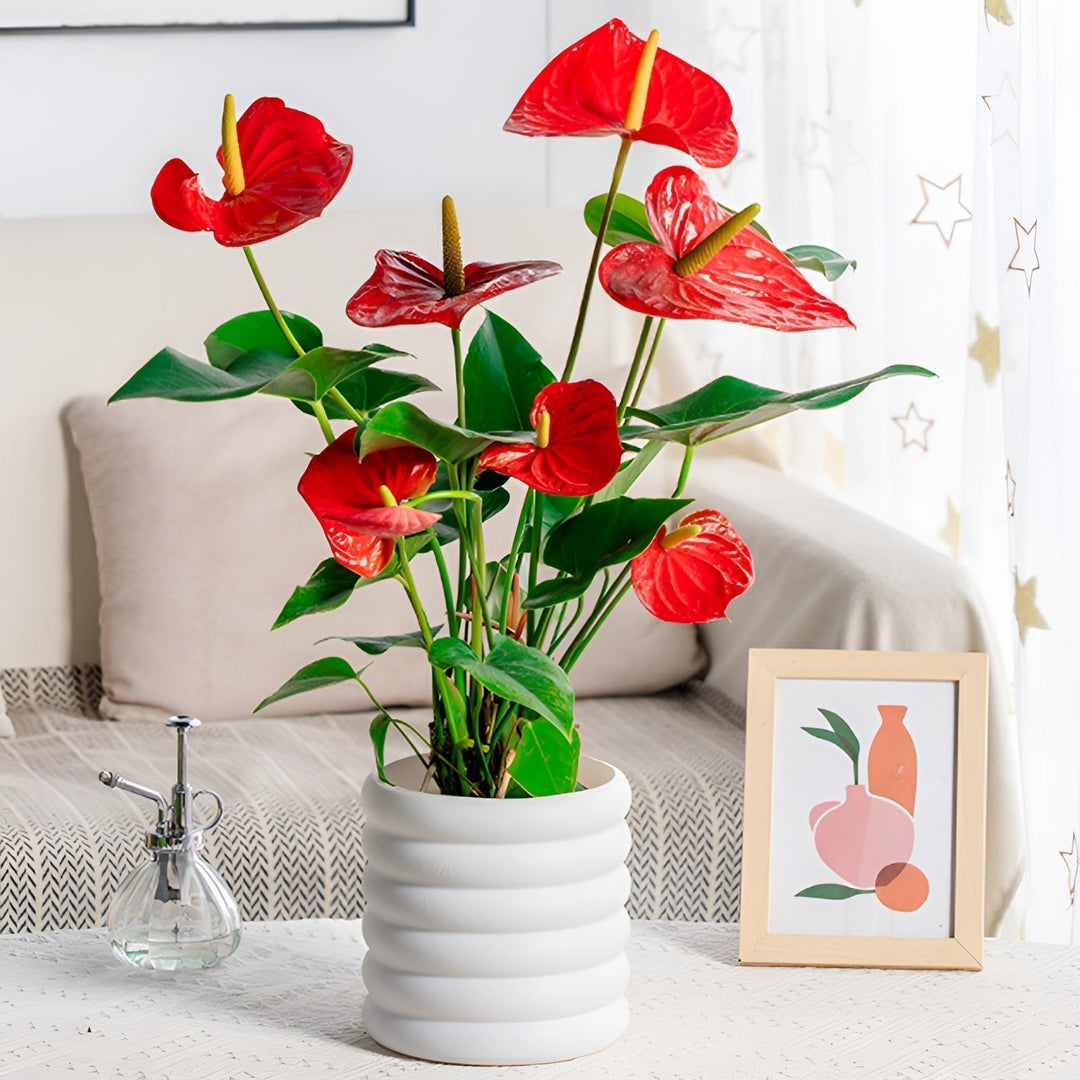 Stornfield | PureLeaf – Elegant Air-Purifying Houseplant for a Fresh and Stylish Ambiance