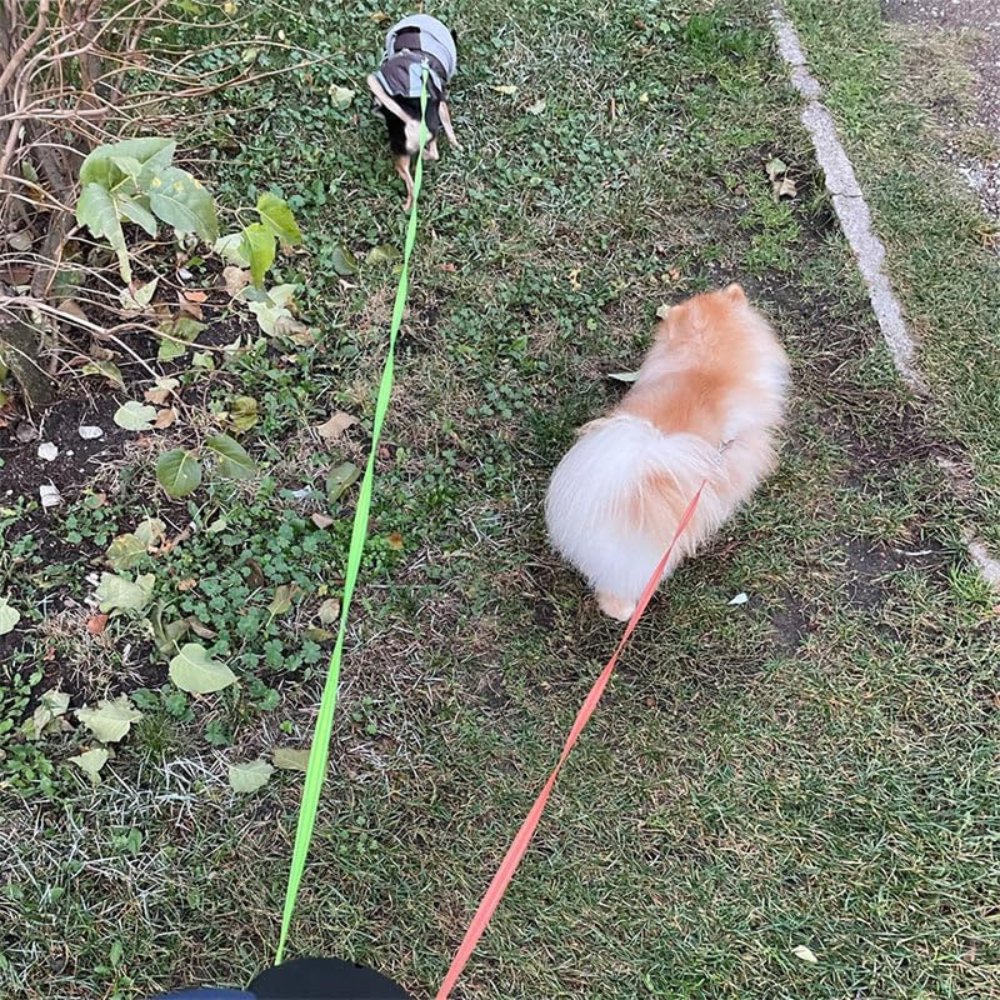 TangleFree Double Dog Leash – Tangle-Free Leash for Easy Walking with Two Dogs | Stornfield