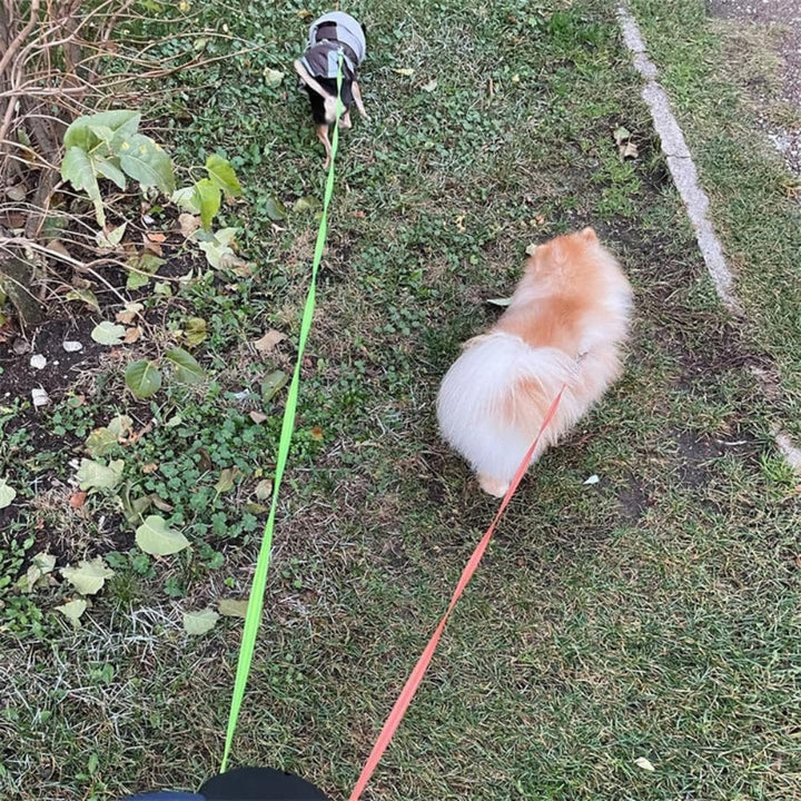 TangleFree Double Dog Leash – Tangle-Free Leash for Easy Walking with Two Dogs | Stornfield