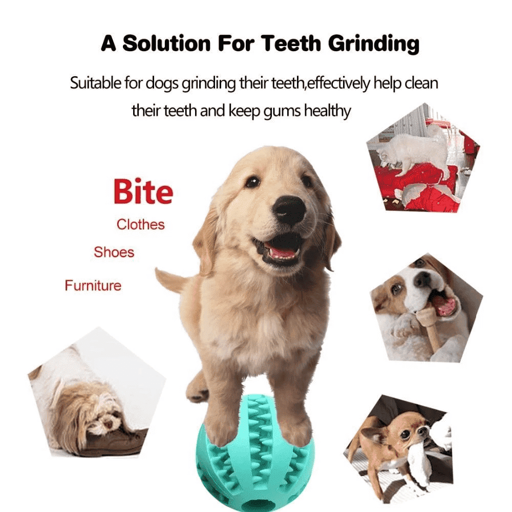 Teeth-Cleaning Dog Feeder Toy | Stornfield