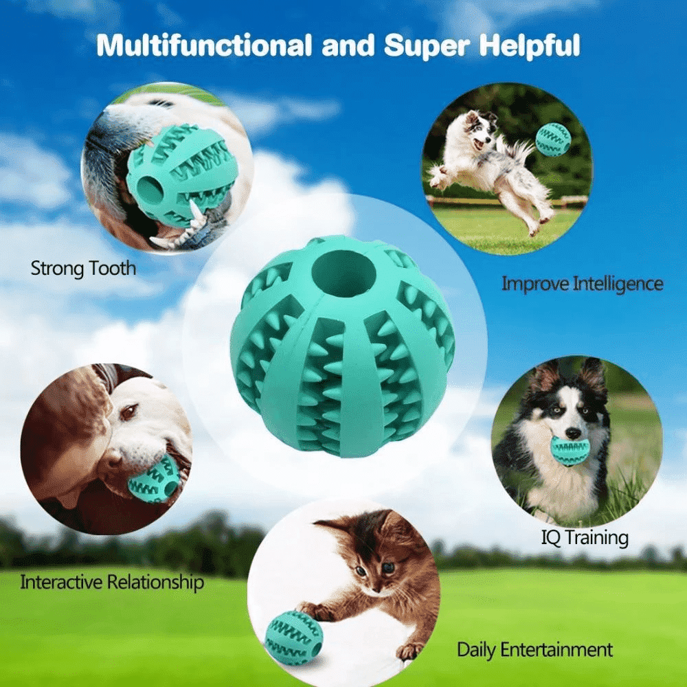 Teeth-Cleaning Dog Feeder Toy | Stornfield