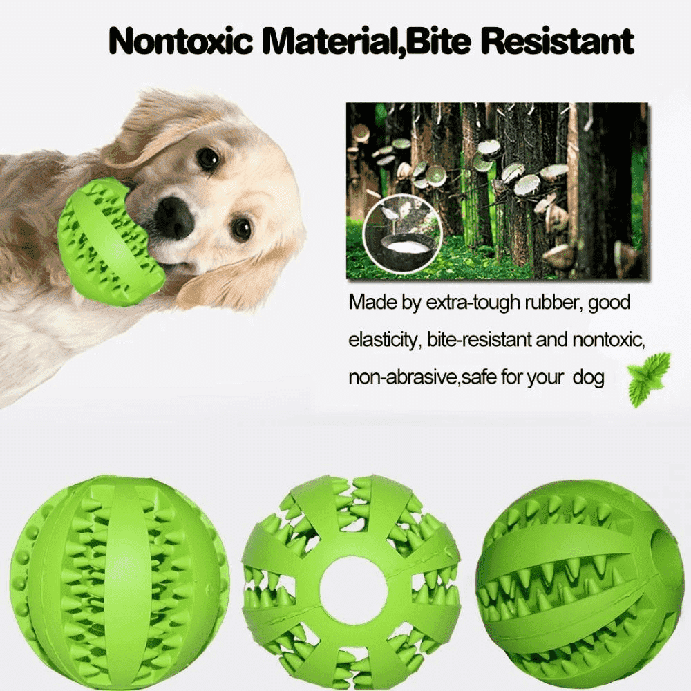 Teeth-Cleaning Dog Feeder Toy | Stornfield