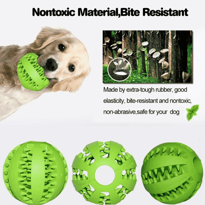 Teeth-Cleaning Dog Feeder Toy | Stornfield