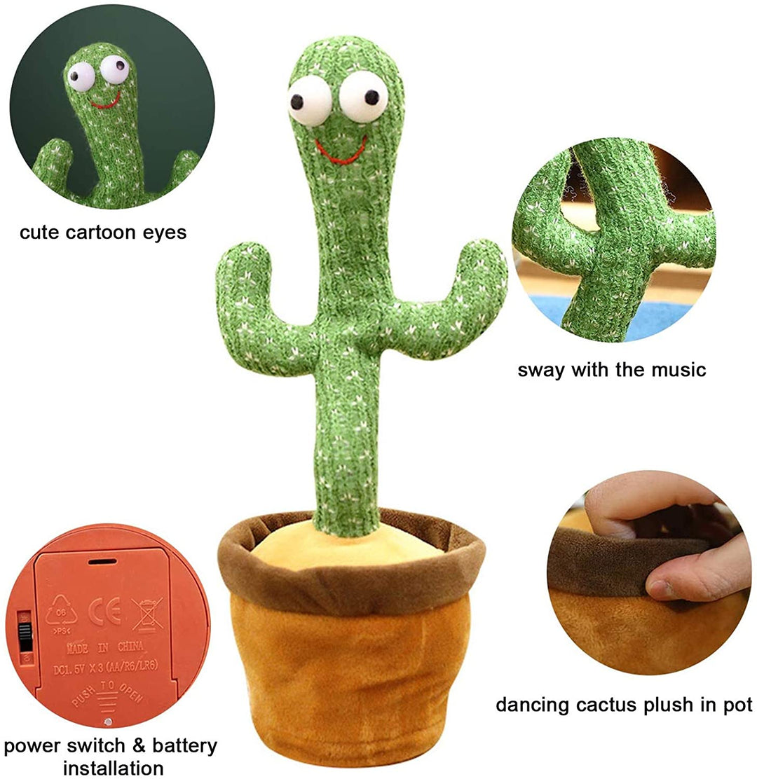 Smart Dancing Cactus | Stornfield
